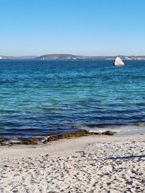 0 Bedroom Property for Sale in Saldanha Industrial Western Cape